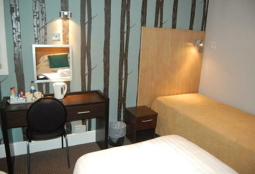 スタンダードトリプルルーム, The Dragonfly