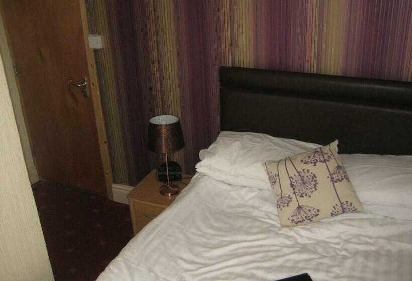 スタンダードルーム, The Dragonfly