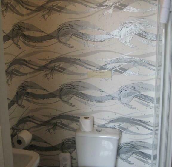 スタンダードルーム, The Dragonfly