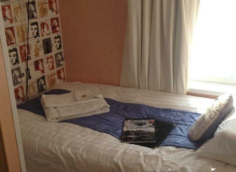 スタンダードシングルルーム, The Dragonfly