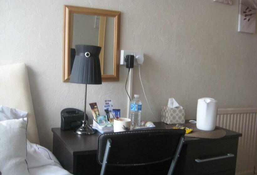 スタンダードシングルルーム, The Dragonfly