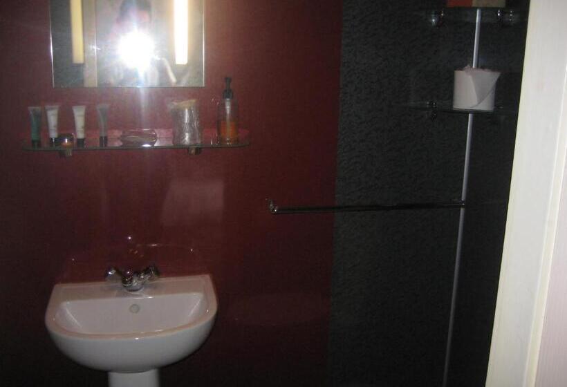 ベーシックルーム, The Dragonfly