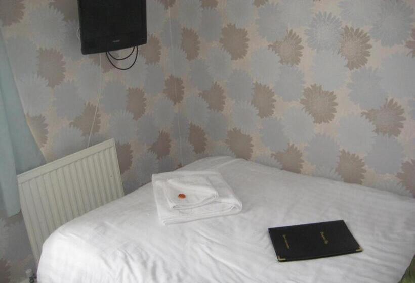 ベーシックルーム, The Dragonfly