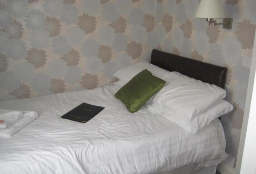 ベーシックルーム, The Dragonfly