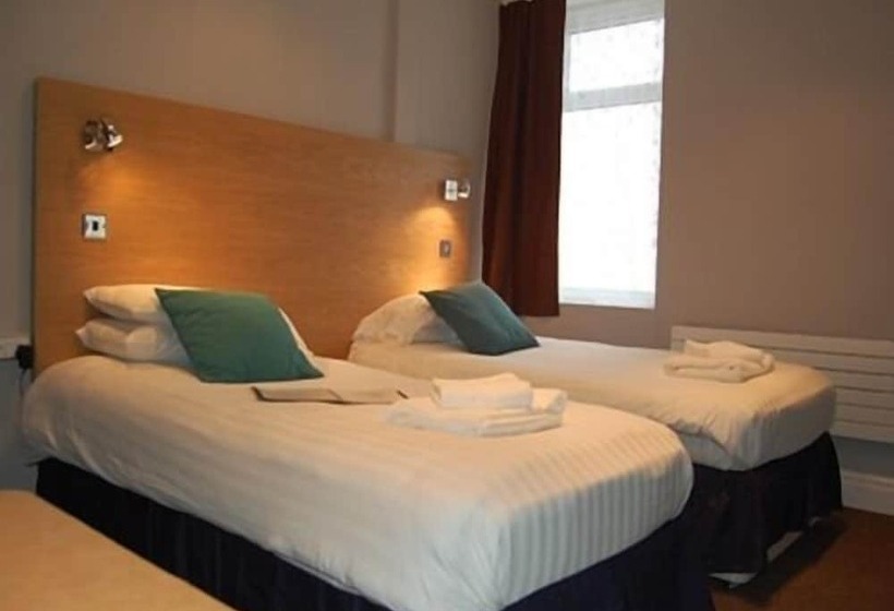 スタンダードトリプルルーム, The Dragonfly