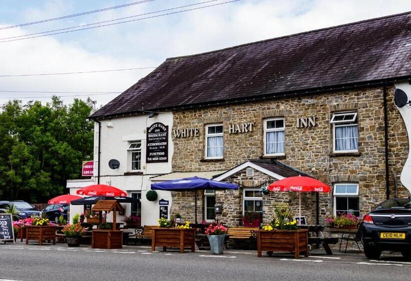 اتاق استاندارد یک نفره, The White Hart Inn