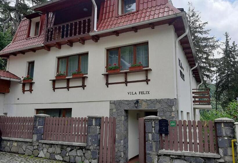 Villa Deluxe 1 Dormitório, Vila Felix