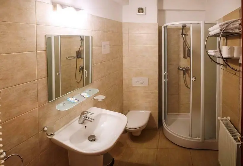 Standard-huone, Pension Perla Bucovinei