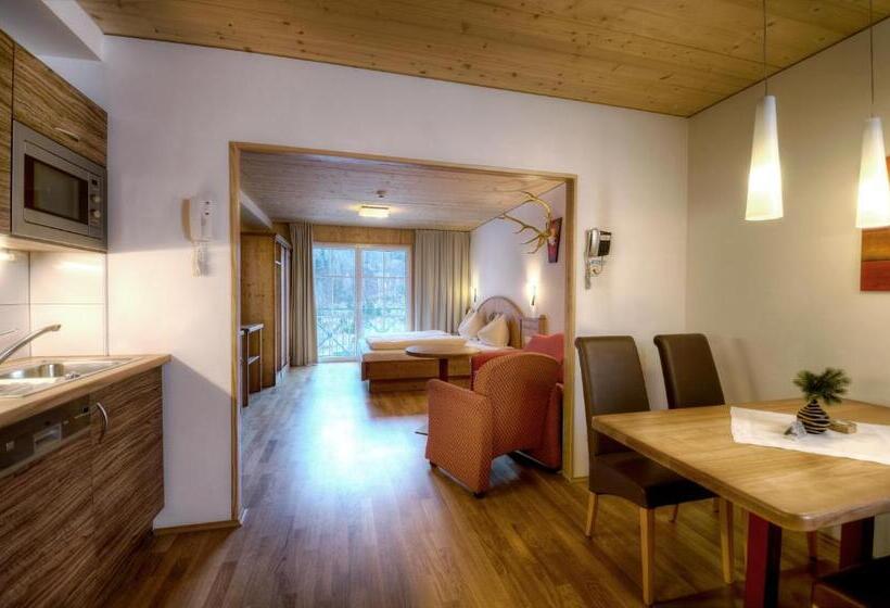 חדר סטודיו סטנדרד, Appartement & Suiten Hotel Glöcknerin