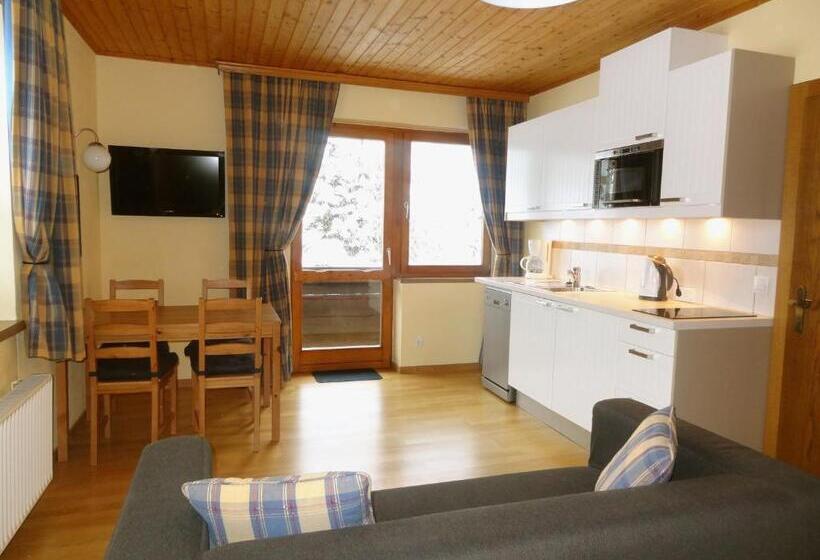 1 Yatak Odalı Daire, Pension Dachsteinhof