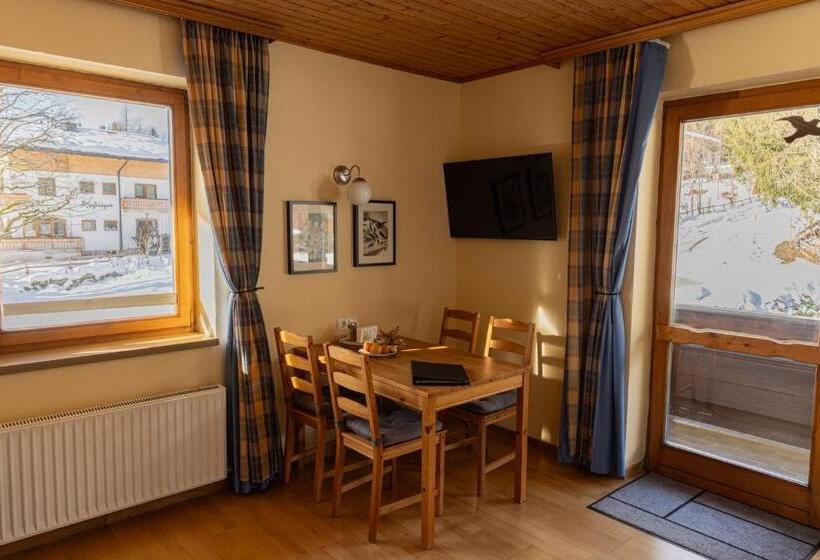 1 Yatak Odalı Daire, Pension Dachsteinhof