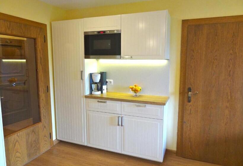 2 Yatak Odalı Daire, Pension Dachsteinhof