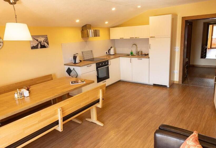 2 Yatak Odalı Daire, Pension Dachsteinhof