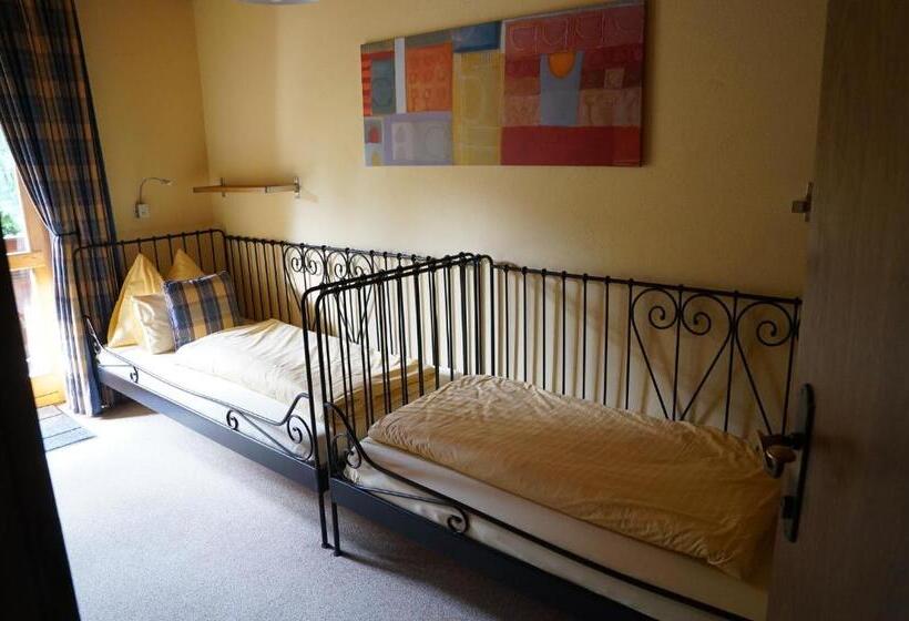 2 Yatak Odalı Daire, Pension Dachsteinhof