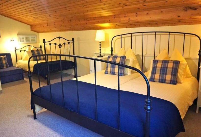 2 Yatak Odalı Daire, Pension Dachsteinhof
