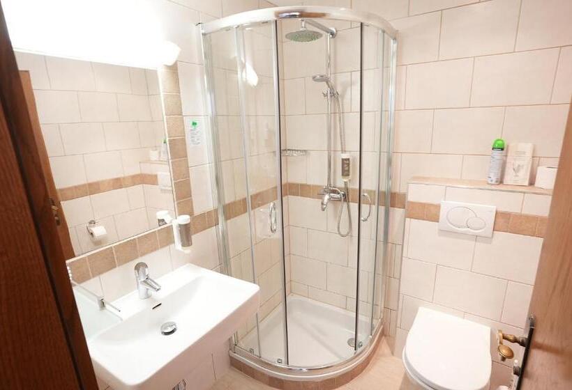 Bahçe Manzaralı Standart Oda, Pension Dachsteinhof