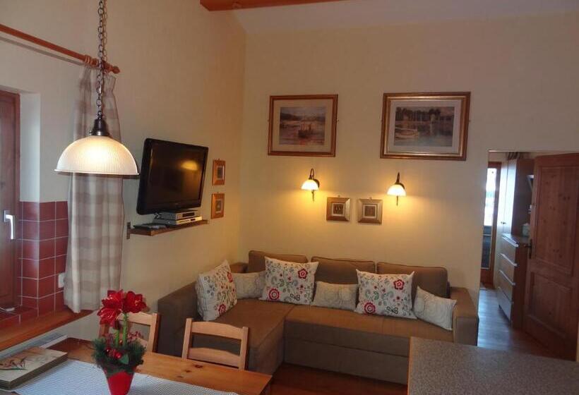 2 Yatak Odalı Daire, Pension Dachsteinhof