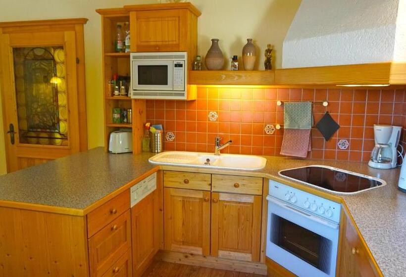 2 Yatak Odalı Daire, Pension Dachsteinhof