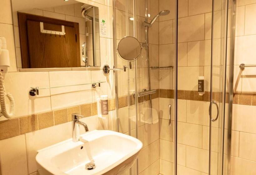 Üç Kişilik Standart Oda, Pension Dachsteinhof