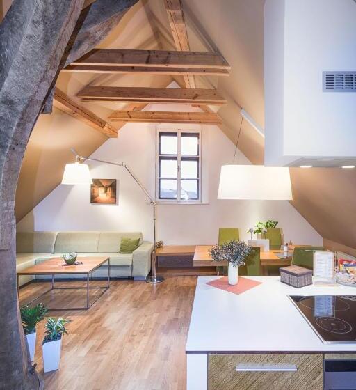 带1个卧室的公寓, Apartmany Chornitzeruv Dum