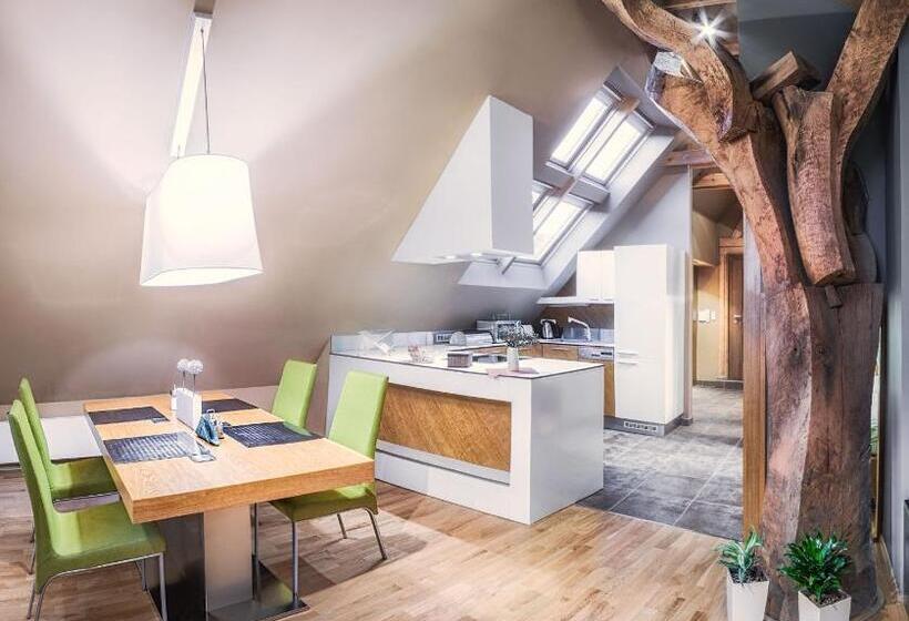 带1个卧室的公寓, Apartmany Chornitzeruv Dum