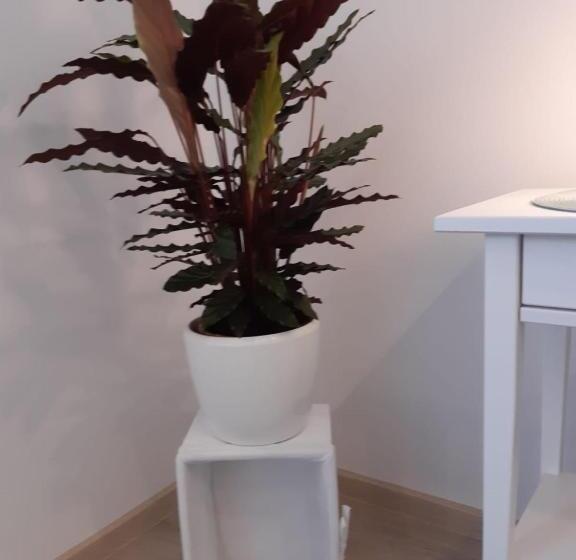 חדר סטנדרט, Cafe Konditorei Pension Sander