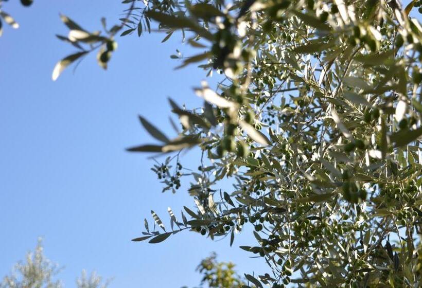 침실 1개 아파트, Cardinal Girolamo