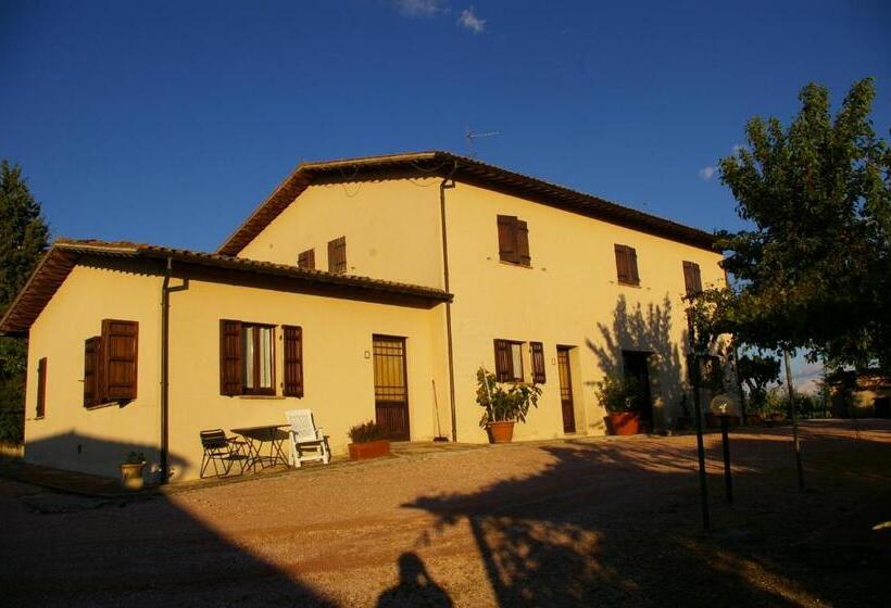 침실 1개 아파트, Cardinal Girolamo