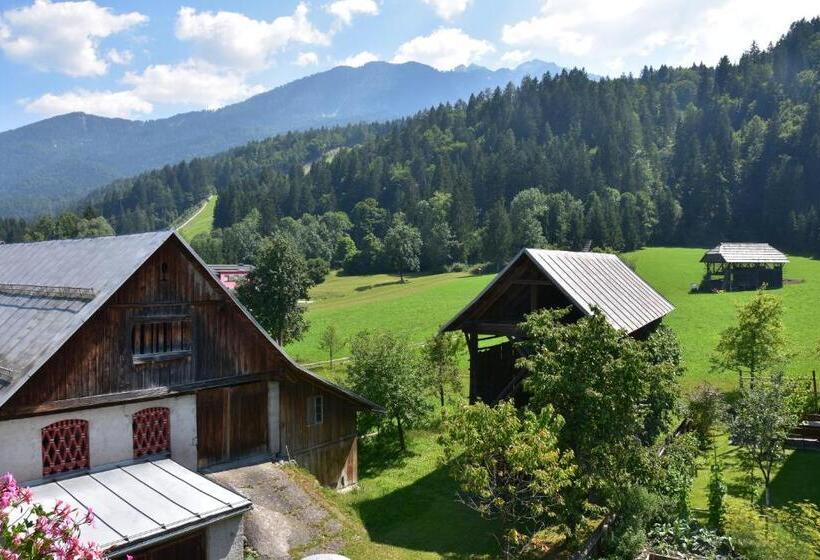 חדר סטנדרט עם מרפסת, Beim Winkler