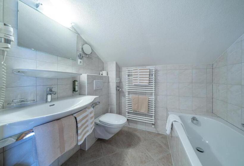 Апартаменты 1 Спальня, Garni ötztals & Aparts