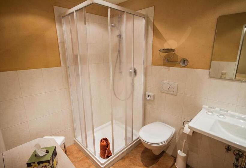 带阳台的标准单人间, Gästehaus Linsinger