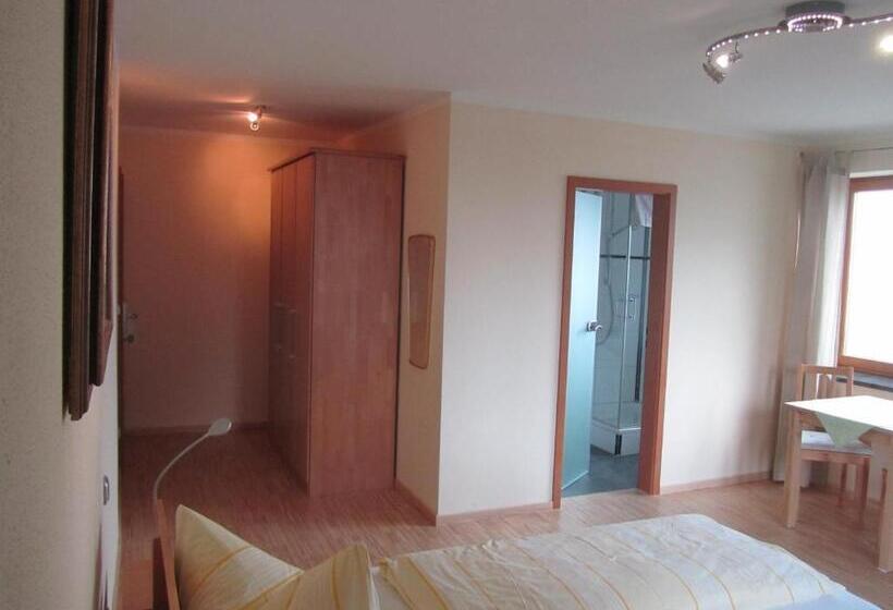 חדר סטנדרט עם מרפסת, Haus Am Gries