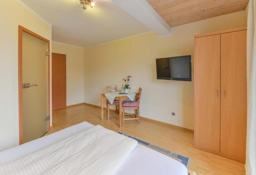 חדר סטנדרט יחיד עם מרפסת, Haus Am Gries