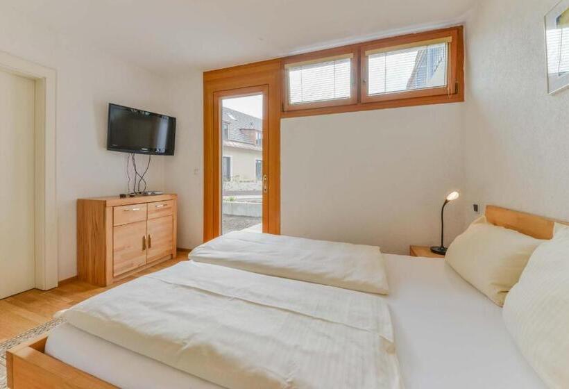 חדר סטנדרט יחיד עם מרפסת, Haus Am Gries