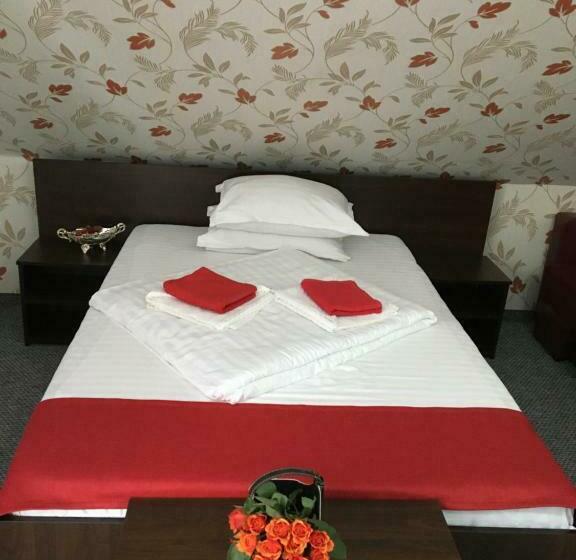 스탠다드 룸, Pension La Viorel Isaila