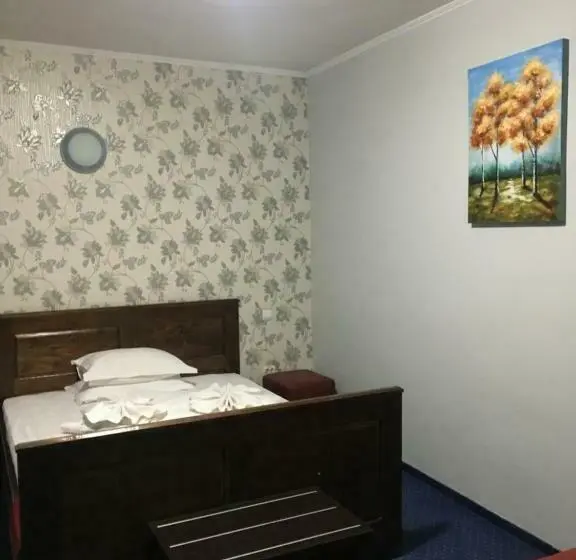 اتاق استاندارد, Pension La Viorel Isaila