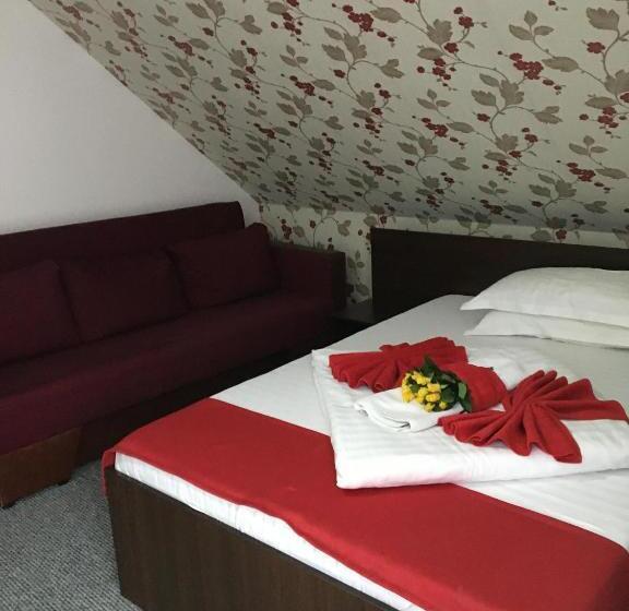 스탠다드 룸, Pension La Viorel Isaila