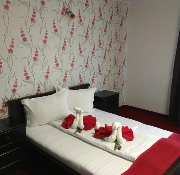 스탠다드 트리플 룸, Pension La Viorel Isaila