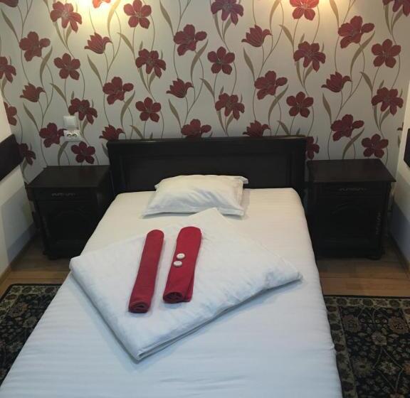 스탠다드 싱글 룸, Pension La Viorel Isaila