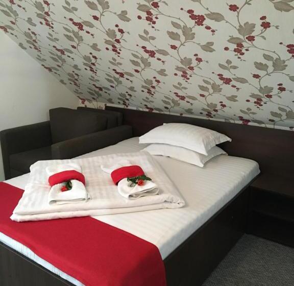 스탠다드 싱글 룸, Pension La Viorel Isaila