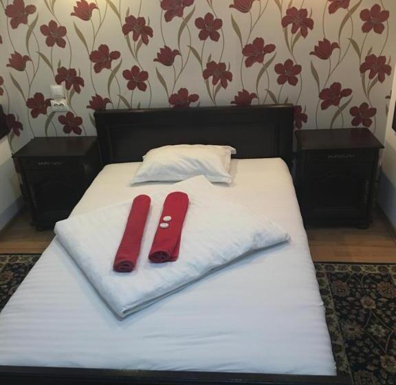 스탠다드 싱글 룸, Pension La Viorel Isaila