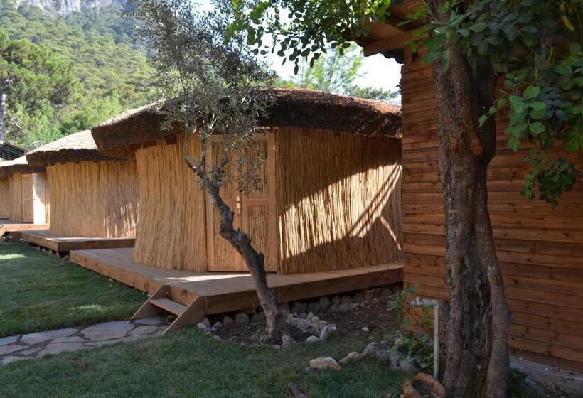 בקתה דלוקס, Chakra Beach Kabak