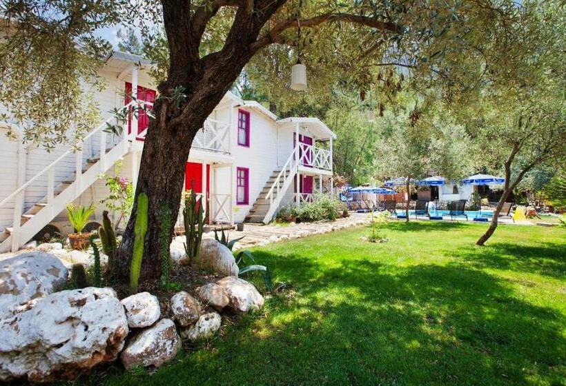 בקתה סופריור, Chakra Beach Kabak