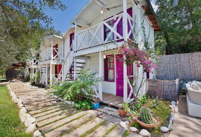 בקתה סופריור, Chakra Beach Kabak