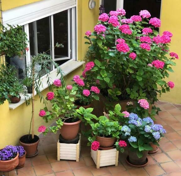 غرفة قياسية رباعية, Hostal Escartín