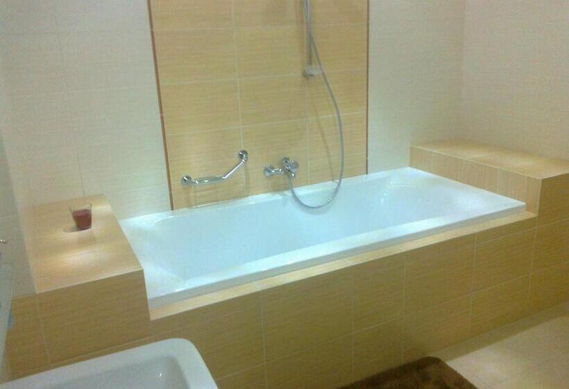 クラシックルーム, Penzion Iris