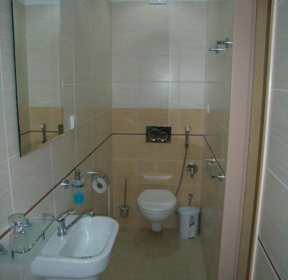 クラシックシングルルーム, Penzion Iris