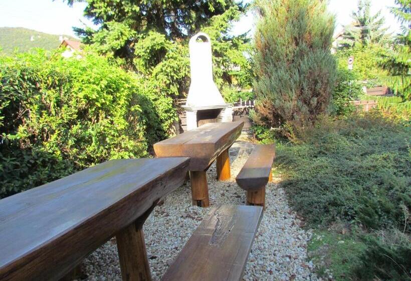 クラシックシングルルーム, Penzion Iris