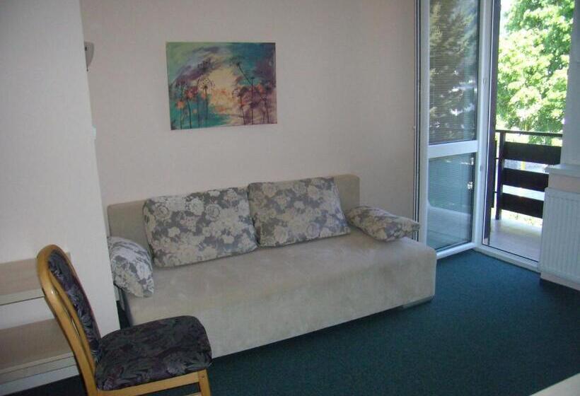 バルコニー付き１ベッドルームアパートメント, Penzion Iris