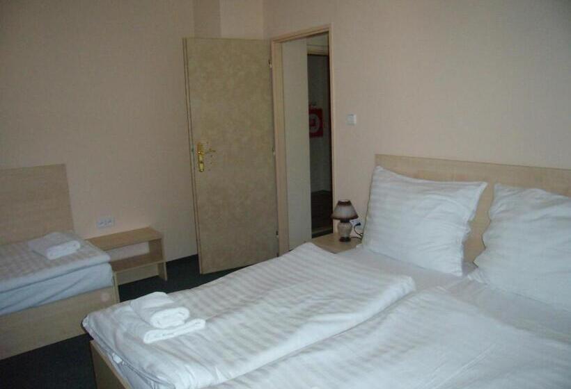 バルコニー付き１ベッドルームアパートメント, Penzion Iris